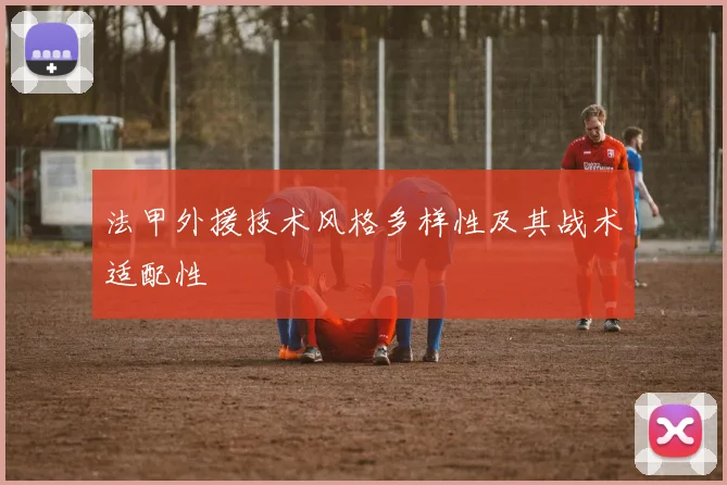 法甲外援技术风格多样性及其战术适配性