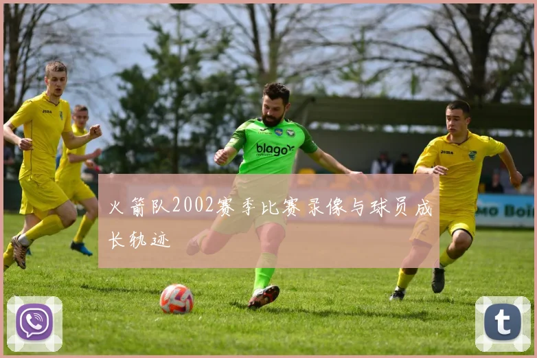 火箭队2002赛季比赛录像与球员成长轨迹