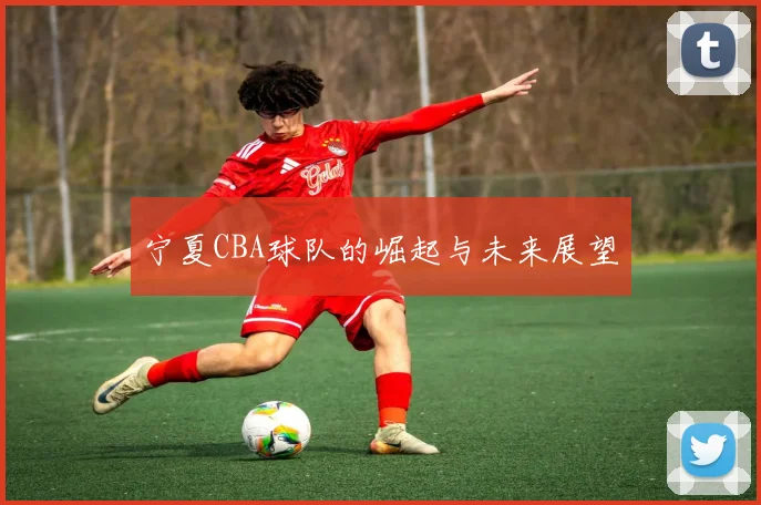 宁夏CBA球队的崛起与未来展望