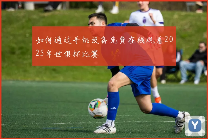 如何通过手机设备免费在线观看2025年世俱杯比赛