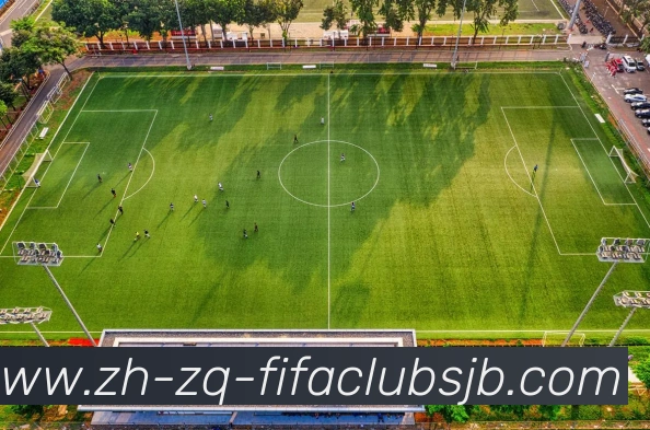 世界杯赛程平台生态图