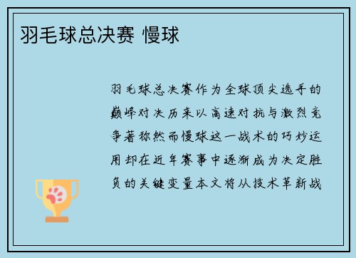 羽毛球总决赛 慢球